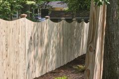 Wood Cedar Decorative Fence