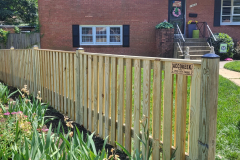 Yard Boundary Fence