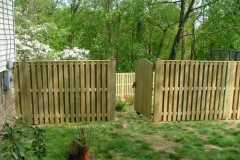 #8 Pressure Treated Pine Board on Board Fence