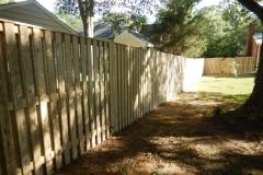 #10 Pressure Treated Pine Board on Board Fence